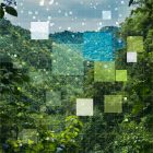 comunicat studiu reveal romania eficienta ianuarie 2025